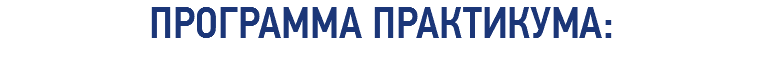 ПРОГРАММА ПРАКТИКУМА: